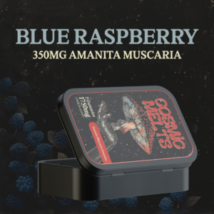 import placeholder for 7600